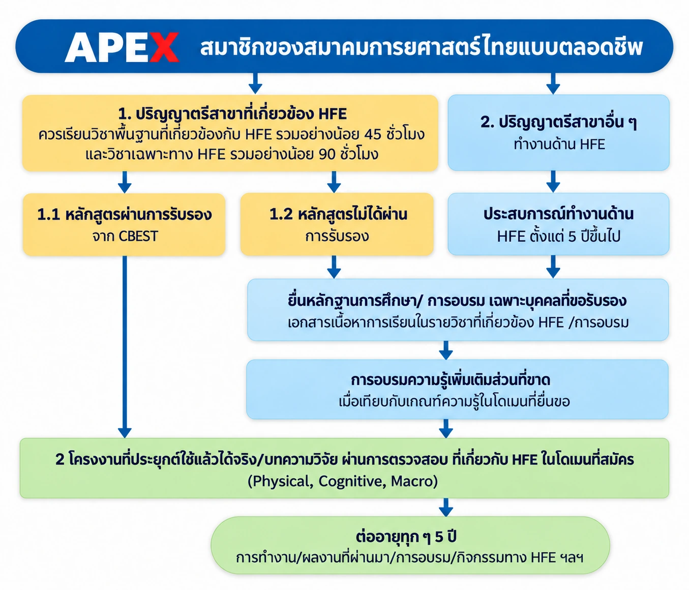 apex (ภาพวาดใหม่จากต้นฉบับ)