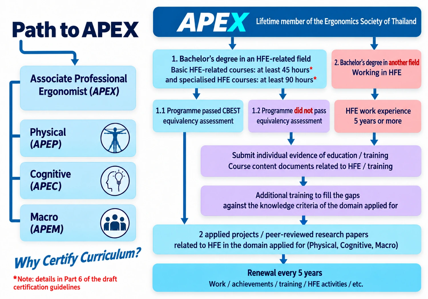 Slide13 01 APEX (Redrawn from the original)