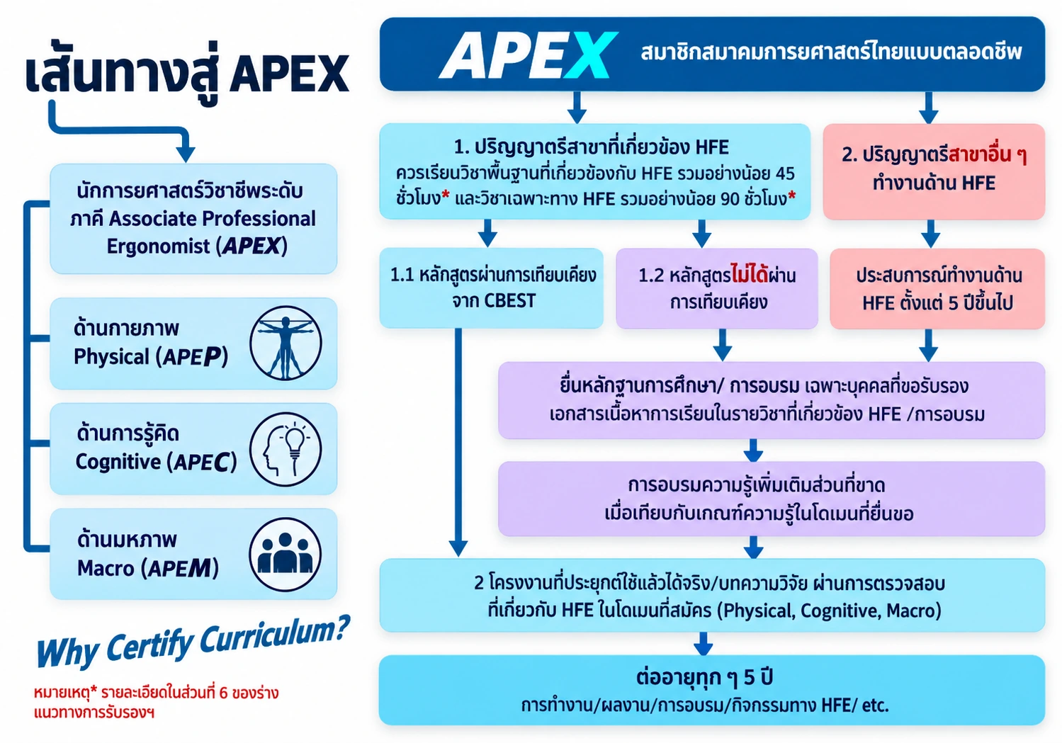 Slide13 01 APEX (ภาพวาดใหม่จากต้นฉบับ)